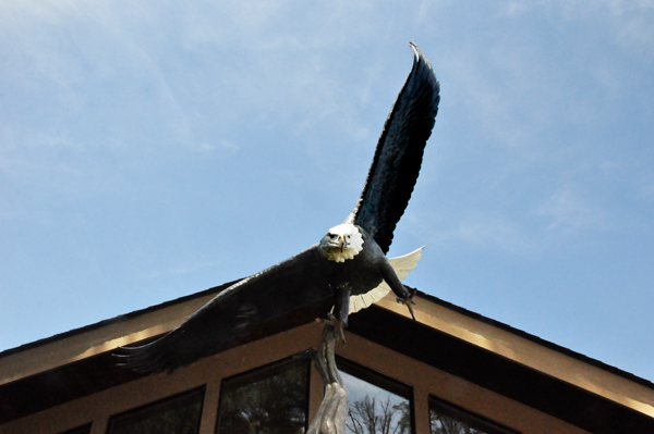 Bald Eagle statue - Spirit of America